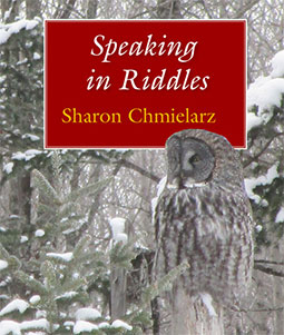 Speaking in Riddles